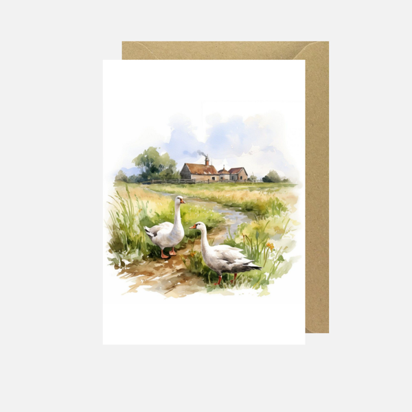 Blanco 'illustratie ganzen'