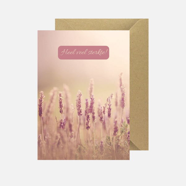 Sterkte 'lavendel'