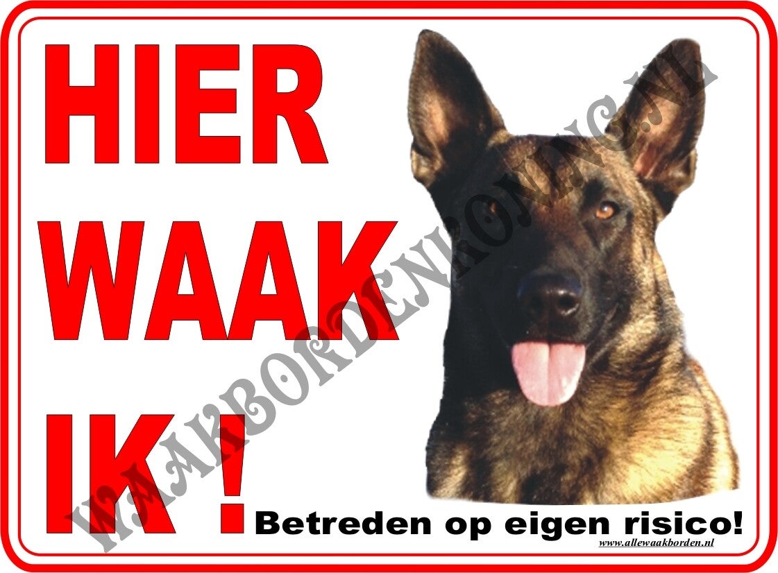 Mechelse Herder...164...(Hier waak ik!)