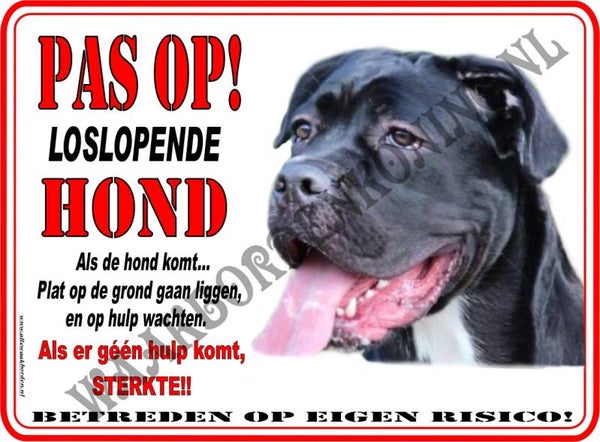 Cane Corso 122 ...(Pas op loslopende hond....sterkte...)