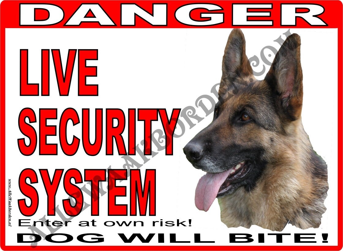 German Shepherd.."DANGER! nr: 284