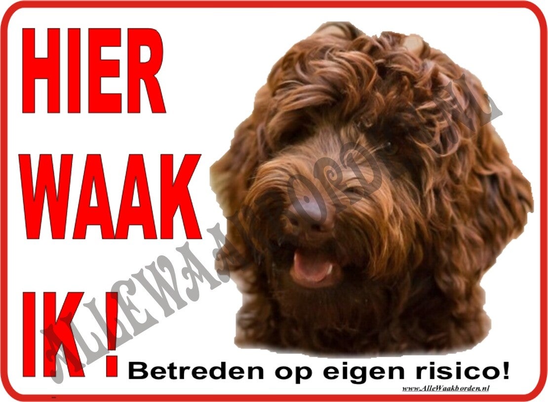 Labradoodle 260 (bruin)