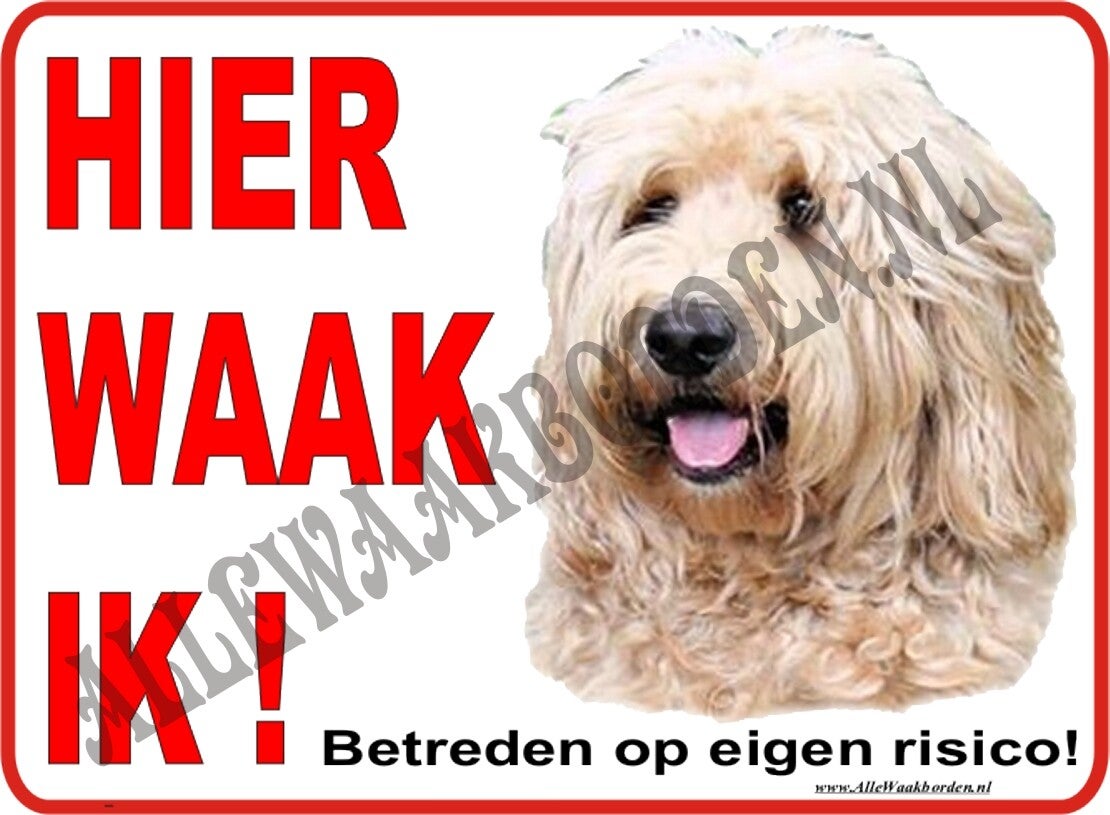 Labradoodle 261 (blond)