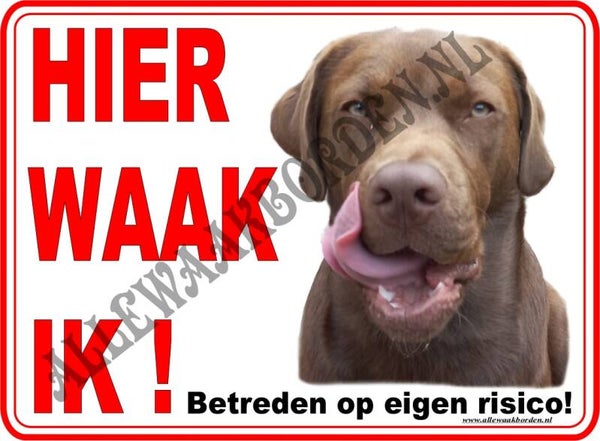 Labrador...156...(Hier waak ik!)