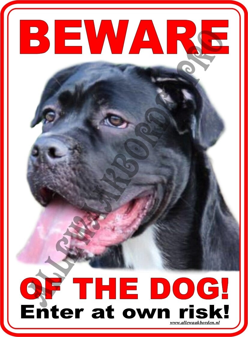 Cane Corso V. 122 E.....(Beware of the Dog!)