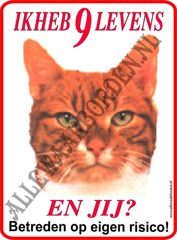 Rode kat/Poes...nr: 204....(Ik heb 9 levens...en jij?)
