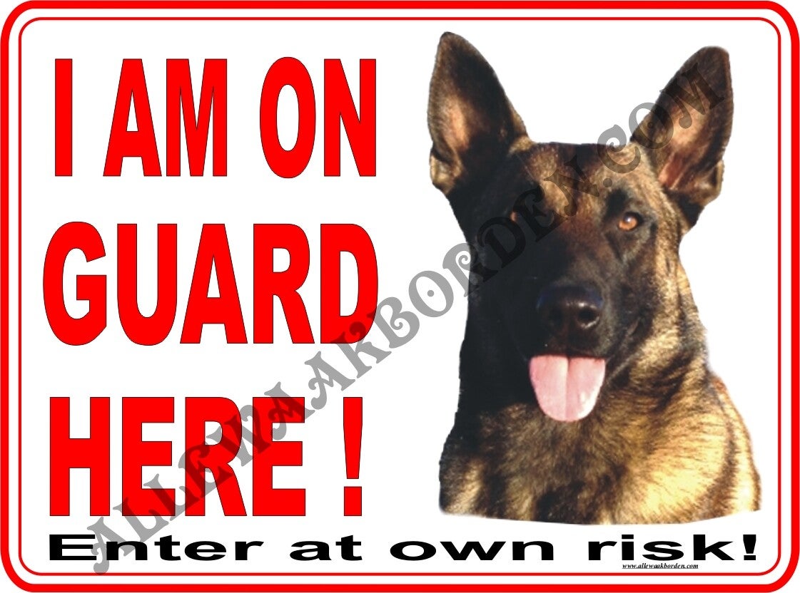 Belgium Shepherd M. 164 E....(I am on Guard Here!)