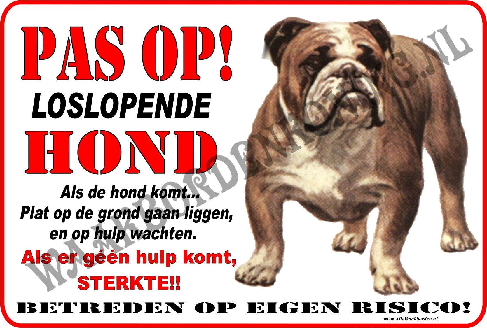 Engelse Bulldog....132...(Pas op loslopende Hond....geen Hulp?...dan sterkte)