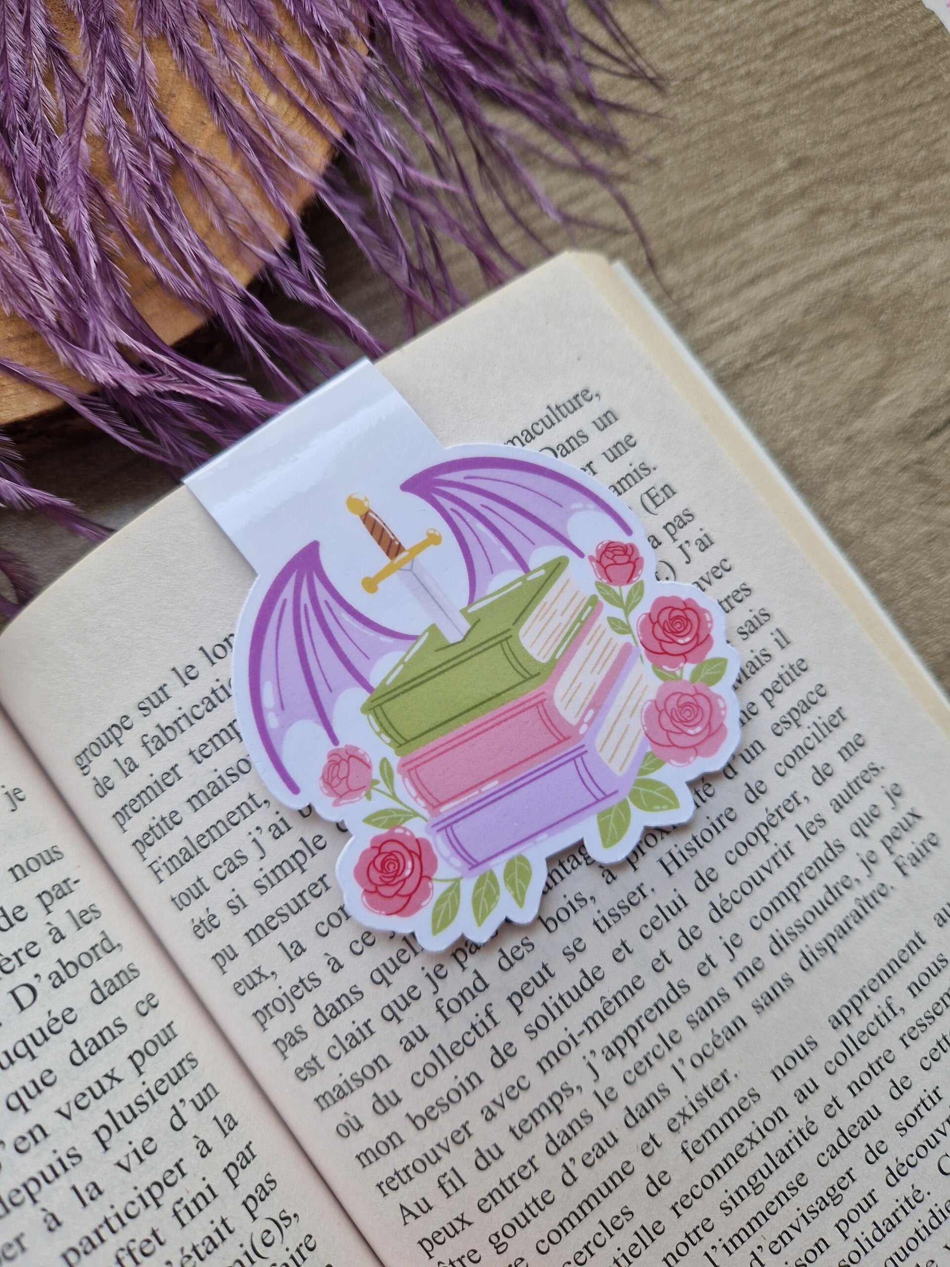 Marque-page magnétique romance dragon,