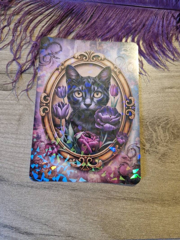 Insert pour Kindle holographique chat gothique,