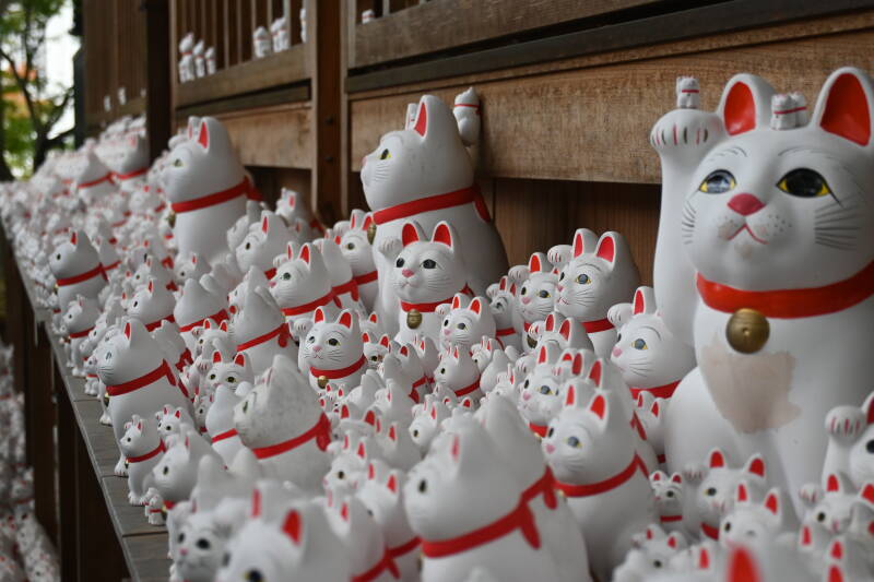 Le Gotokuji Temple tokyo japon