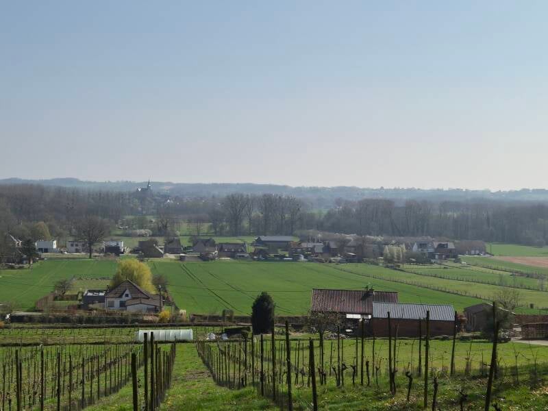 Vergezicht in het Vlaamse Hageland