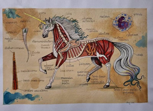 Anatomy of the Unicorn A3