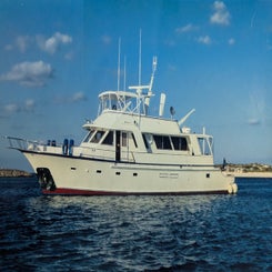 pxl_20250925_171736085-2-standard.jpg