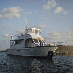 pxl_20250925_173848130-2-standard.jpg