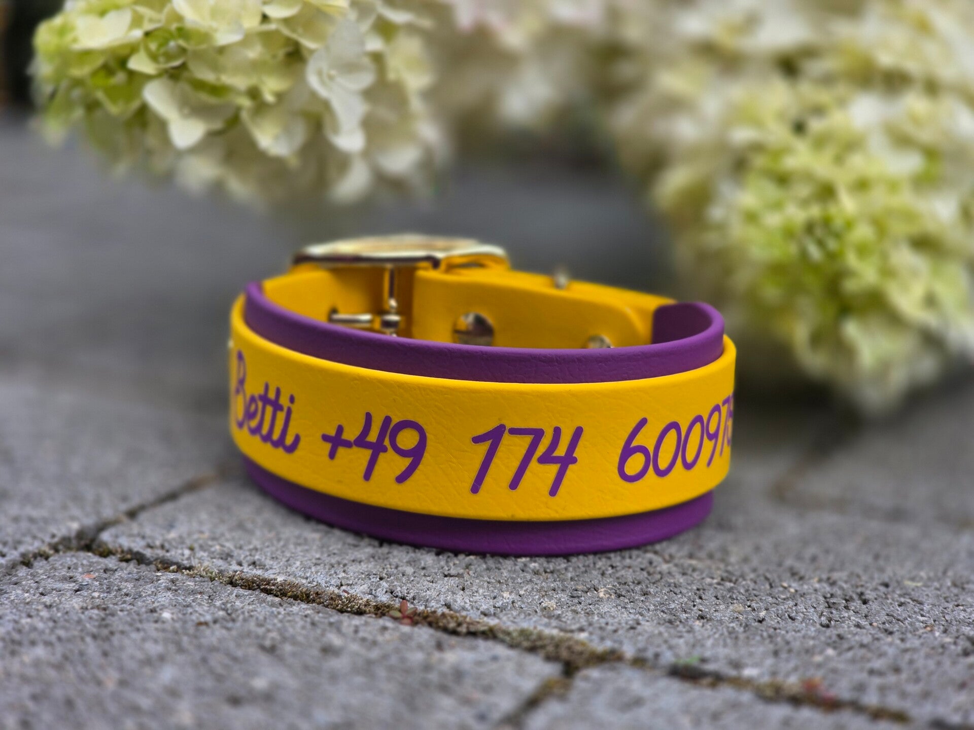 Biothane Halsband "Strong"
