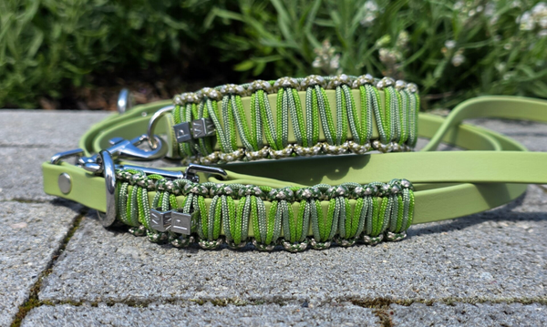 Leine und Halsband "Skyline"