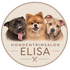 Hondentrimsalon Elisa