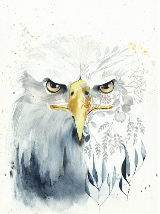 Aigle