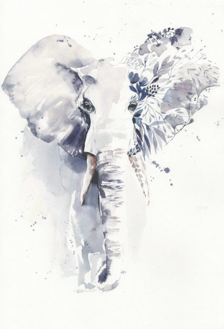 Éléphant