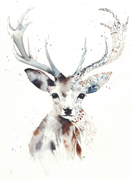 Cerf