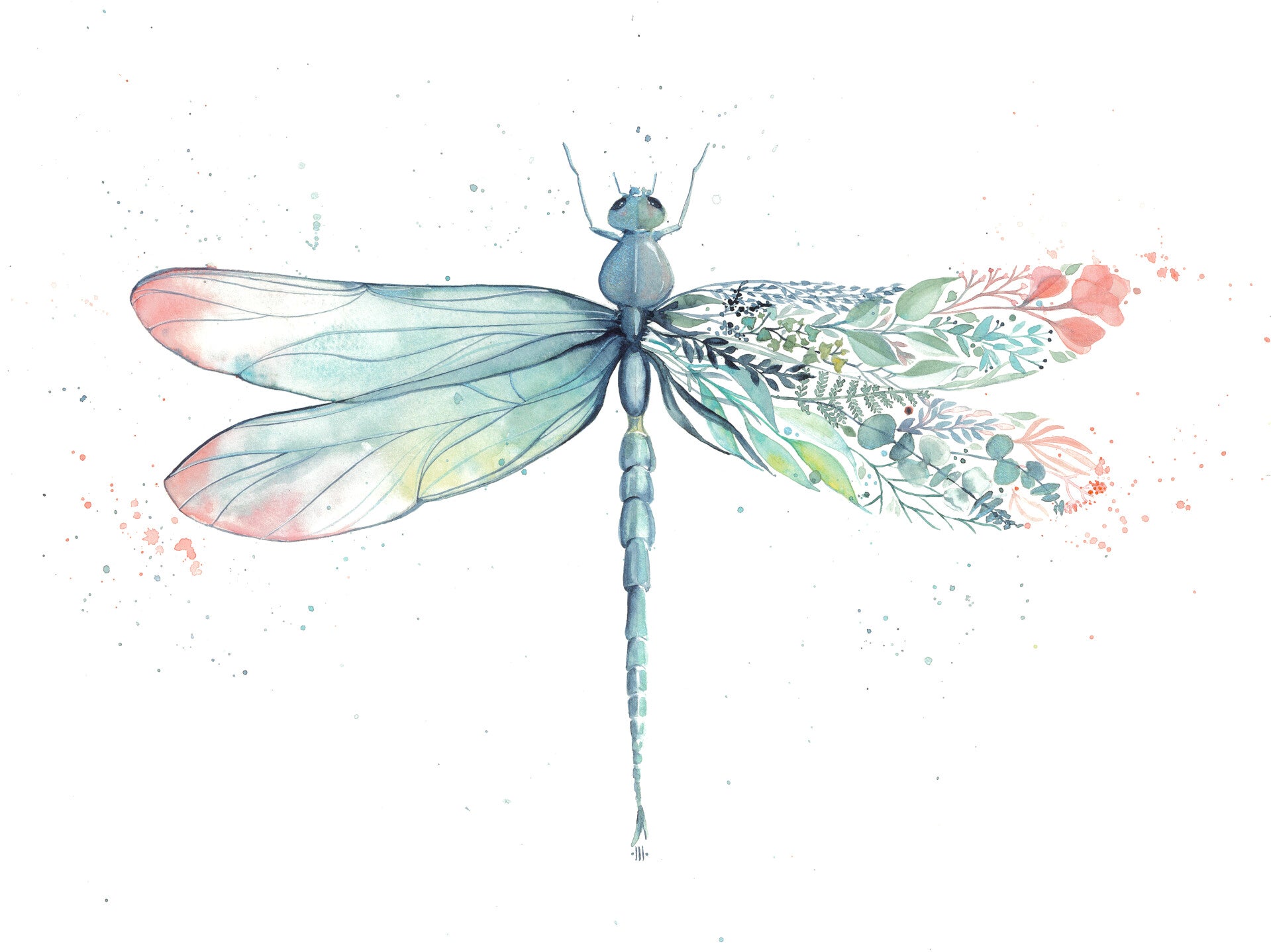 Libellule