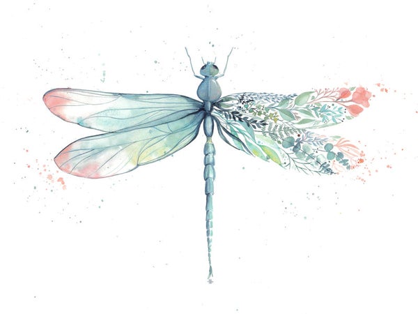 Libellule