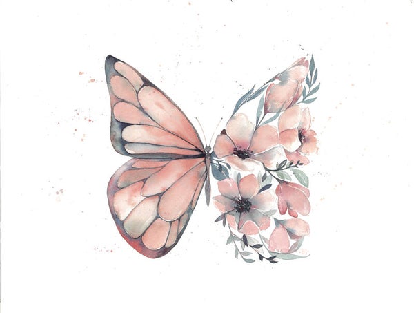 Papillon