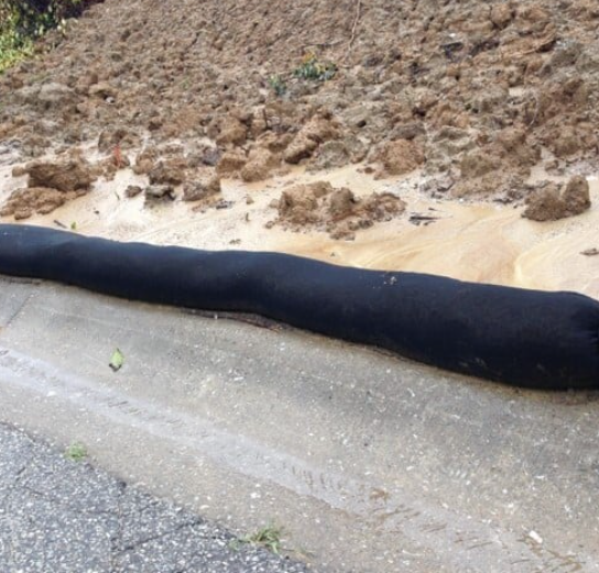 Erosion & Sediment Control for Alternative Energy and Long Linear Projects in California