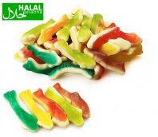 Sharks Halal