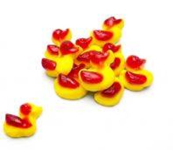 Ducks
