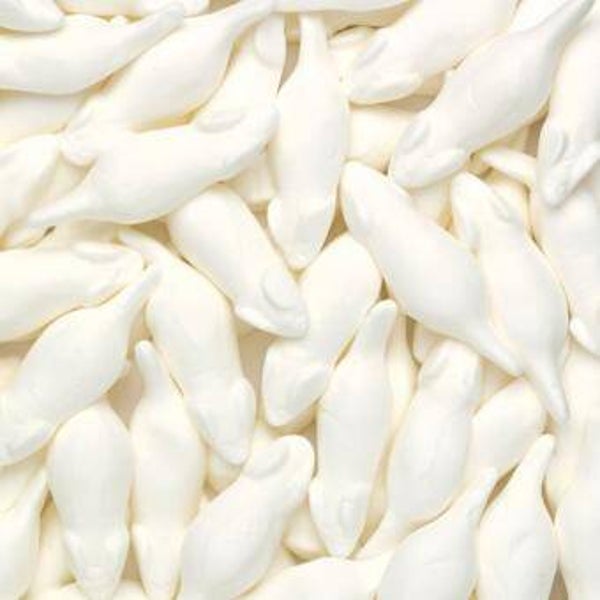witte muizen
