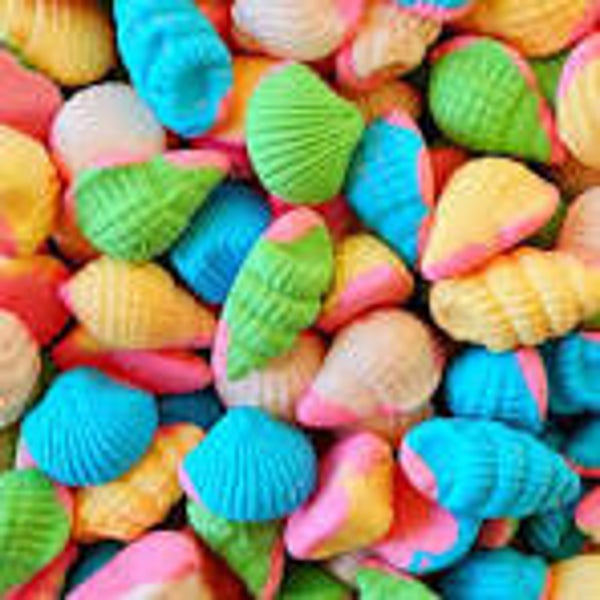 foam shells