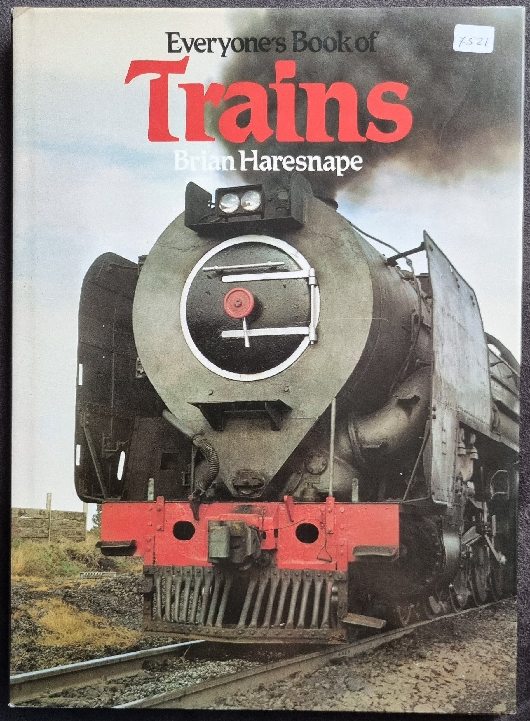 Everyone's Book of Trains