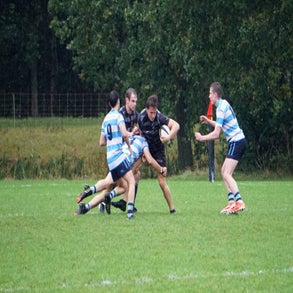 dsc07437-standard.jpg