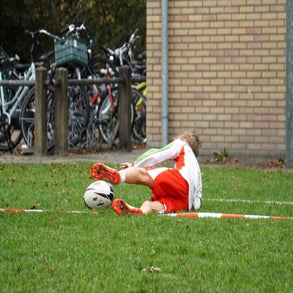 dsc07542-standard.jpg