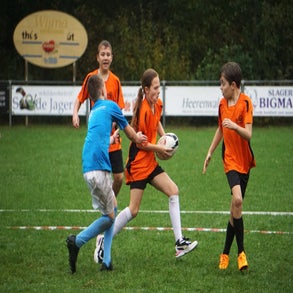 dsc07717-standard.jpg