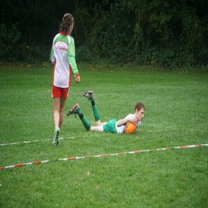 dsc07893-standard.jpg