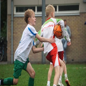 dsc07941-standard.jpg