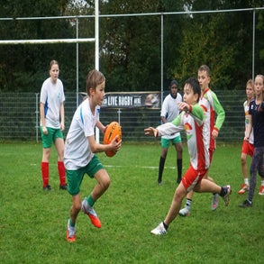 dsc08008-standard.jpg