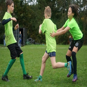 dsc08080-standard.jpg