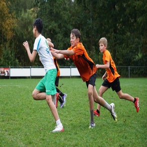 dsc08540-standard.jpg