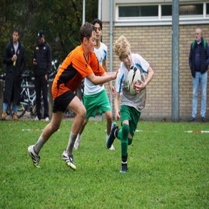 dsc08571-standard.jpg