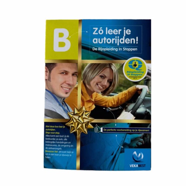 Практическое пособие RIS (Rijopleiding In Stappen)