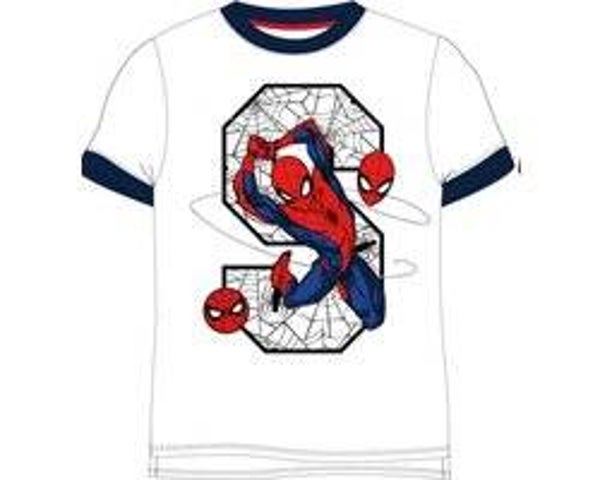 Disney Spiderman T-shirt Wit