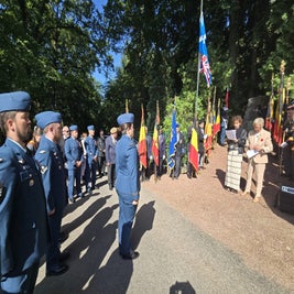11-standard-qmmqvv.jpg