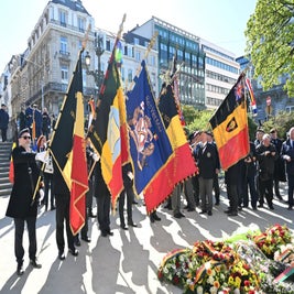 54438909133_2bf4ee5acb_k-standard.jpg