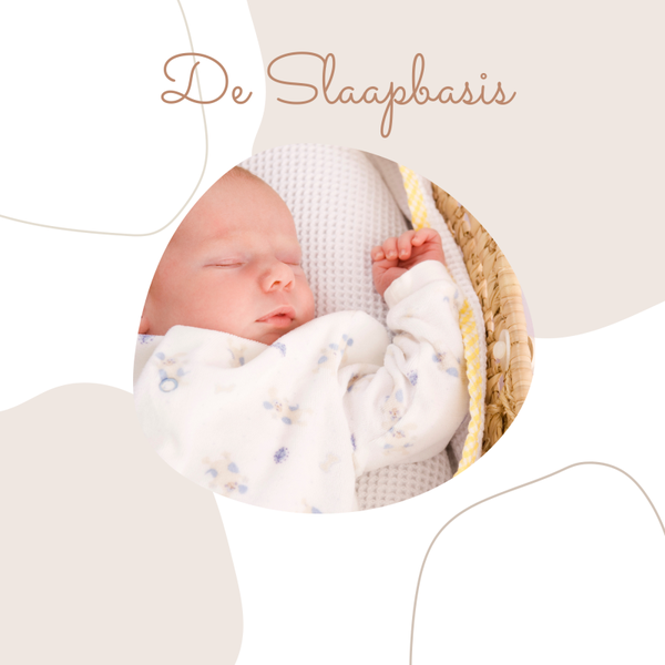 E-book Slaapbasis