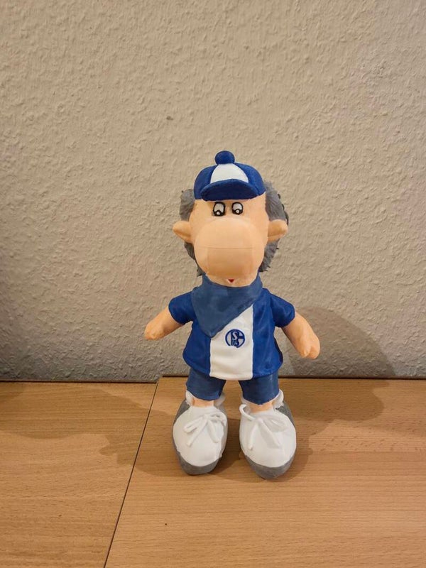 Schalke 04 Erwin