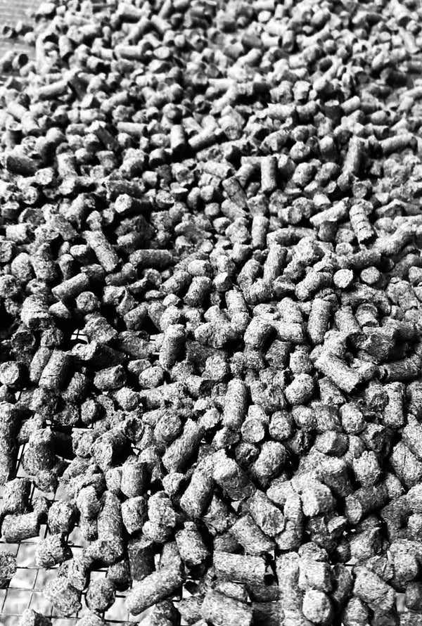 500gr BLACK SHEEP Pflanzenkohle Growpellets